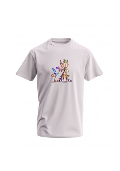 Wile E. Coyote and the Road Runner